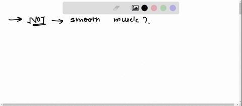 which-of-the-following-is-not-characteristic-of-smooth-muscle-neurons-that-innervate-smooth-muscles-are-under-voluntary-control-the-thin-filaments-of-smoothmuscle-fibers-are-attached-to-dens-68584