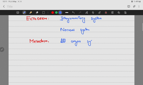 mark-all-of-the-following-that-develop-from-the-mesoderm-a-the-skeletal-system-b-the-cardiovascular-or-circulatory-sytem-c-the-nervous-system-d-hair-and-nails-e-the-lining-of-the-digestive-s-08048
