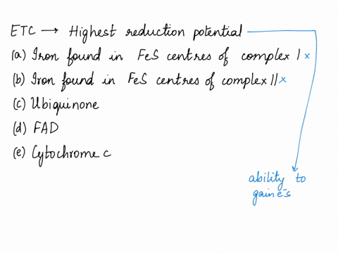 given-whatyou-know-about-the-electron-transport-chain-_-following-has-the-highest-reduction-potential-which-or-the-an-iron-found-in-the-iron-sulfur-centers-of-complex-an-iron-found-in-the-ir-36063
