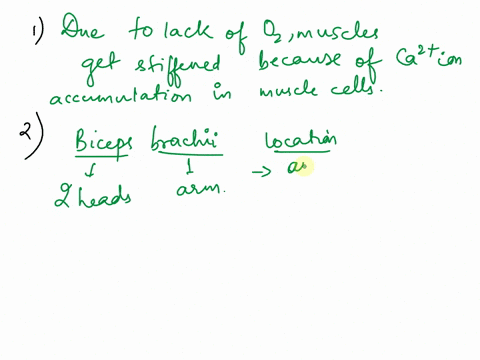 essay-questions-1-when-someone-dies-their-cellular-membranes-get-leaky-while-cellular-respiration-stops-completely-this-causes-calcium-to-become-abundant-in-skeletal-muscles-cells-and-is-the-83586
