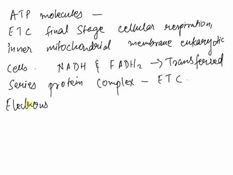 which-pathway-produces-the-most-atp-molecules-a-lactic-acid-fermentation-b-the-krebs-cycle-c-the-ele-38808