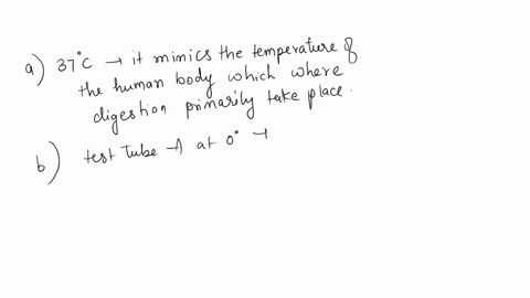 answer-questions-please-bwhy-was-37c-the-optimal-incubation-temperature-c-why-did-very-little-starch-digestion-occur-in-test-tube-a-at-o-degrees-5assessing-protein-digestion-awhat-was-the-pu-92824