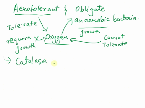 q-contrast-an-aerotolerant-and-an-obligate-anaerobe-in-terms-of-sensitivity-to-0z-and-ability-to-grow-in-the-presence-of-oz-compare-and-contrast-the-enzymes-catalase-superoxide-dismutase-and-43134