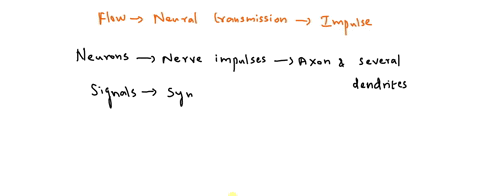 arrange-the-flow-of-impulse-transmission-in-a-neuron-use-numbers-1-to-4-1-as-the-first-in-arranging-the-flow-____-signal-transmission-____-signal-integration-____-signal-reception-____-signa-31604