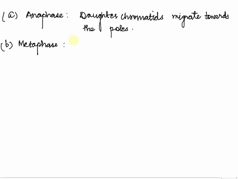 the-phase-of-mitosis-during-which-centrioles-reach-the-poles-and-chromosomes-attach-to-the-spindle-i-70805