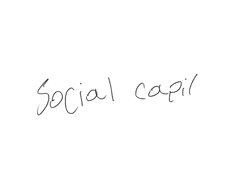 which-of-the-following-concepts-implies-trust-bonds-between-people-cooperation-and-collective-action-utility-fibertarianism-virtue-social-capital-telos