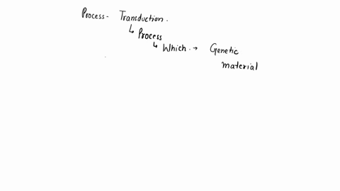 which-of-the-following-would-not-disturb-hardy-weinberg-equilibrium-a-mutation-b-genetic-drift-c-random-mating-in-a-large-population-d-migration-52943