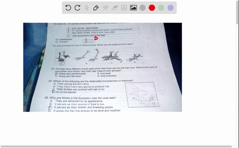 are-my-answers-correct-if-not-please-lets-know-whats-right-for-items-22-23-use-the-choices-below-that-desciipe-soft-slendernaked-bodies-presence-of-spines-outside-their-bodies-used-for_their-51251