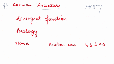 a-phylogenetic-tree-indicates-common-ancestors-indicates-the-organisms-taxon-uses-only-derived-characters-indicates-common-ancestors-for-each-family-also-includes-the-organisms-order-and-cla-60898