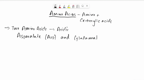 which-amino-acids-are-acidic-when-fully-ionized-what-is-their-charge-which-amino-acids-are-basic-when-fully-ionized-what-is-their-charge-53274