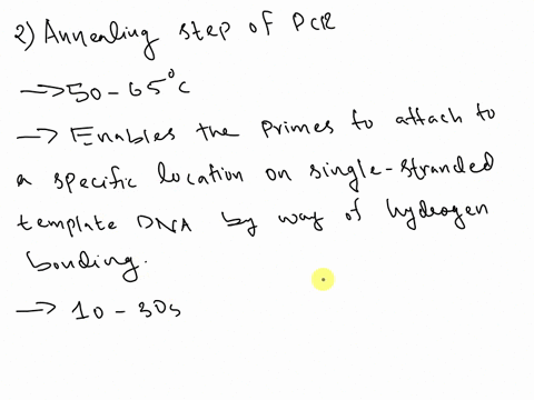 what-happens-during-the-denaturation-step-of-pcrwhat-happens-during-the-annealing-step-of-pcrwhat-happens-during-the-extensionsynthesis-step-of-pcrby-what-factor-does-the-dna-quantity-increa-15956
