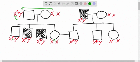 2-the-following-pedigrees-represent-the-inheritance-of-two-different-rare-genetic-diseases-that-are-100-penetrant-answer-the-following-questions-for-the_pedigree-on-the-left-a-is-this-disord-16531