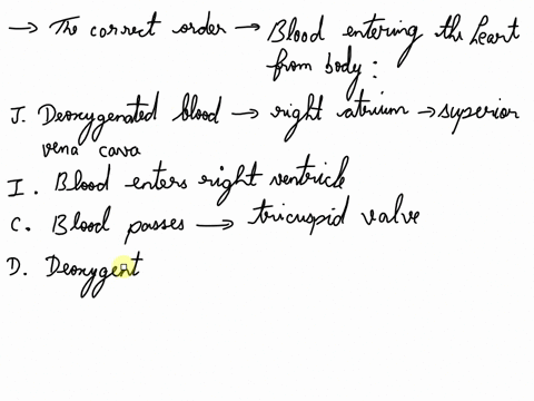 question-63-put-the-statements-on-the-left-in-the-correct-orderstart-with-blood-entering-the-heart-from-the-bodyremember-to-click-save-all-before-you-select-finish-v1-a-gas-exchange-takes-pl-87477