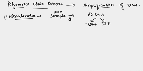 a-technique-for-making-millions-of-copies-of-a-specific-region-of-dna-a-dna-ligase-b-restriction-enzymes-c-gel-electrophoresis-d-pcr-50872