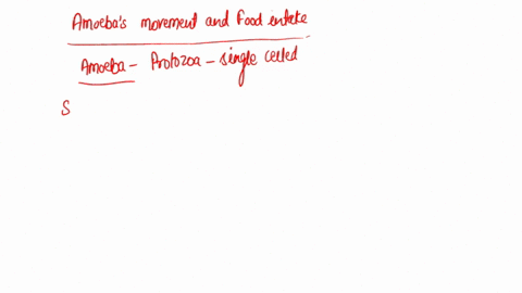 amoebas-move-and-obtain-food-by-means-of-a-pseudopodia-b-flagella-c-cilia-d-gametangia-e-trichocysts-92113