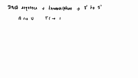 the-dna-strand-shown-below-is-transcribed-into-mrna-it-is-the-template-strand-the-mrna-will-then-be-translated-into-a-small-polypeptide-dna-sequence-3gctacctccgcaaattatgcggcattgcatas-the-cor-83925