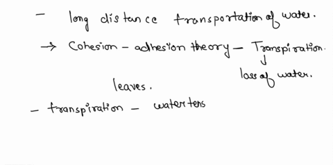 describe-movement-of-water-from-the-soilinto-the-xylem-both-pathways-into-the-root-upthe-stem-to-leaves-of-plants-the-mechanism-for-movement-and-out-to-the-atmosphere-what-regulates-that-not-53825