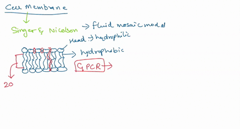 explain-1-how-is-the-cell-membrane-regulate-the-movement-of-materials-into-or-out-of-the-cell-2-why-does-the-cell-membrane-described-as-a-fluid-mosaic-model-3-describe-a-phospholipid-bilayer-47238