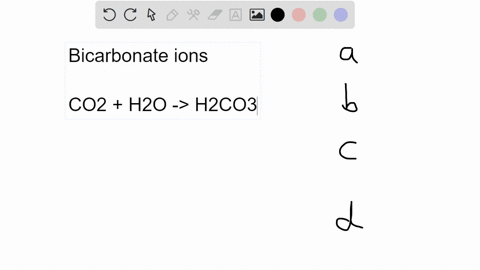 the-chemical-reaction-that-converts-carbon-dioxide-to-a-bicarbonate-ion-takes-place-in-a-the-blood-p-72273