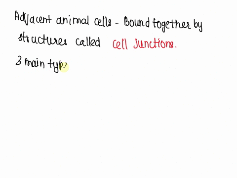 what-are-adjacent-animal-cells-bound-together-by-26215