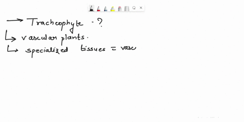sdiu-2-what-ls-tracheophyte-give-cxple-20-compured-bryophyles-trachcophytes-are-extremely-successlul-colonizing-lard-explain-why-t0-mch-kencnltn-the-conspicuous-0bious-vesctative-otgans-0l-i-45715