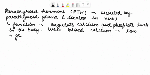parathyroid-hormone-causes-a-the-kidneys-to-excrete-more-calcium-ions-b-bone-tissue-to-break-down-an-15734