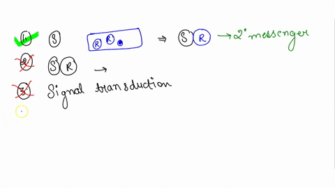 question-10-which-of-the-following-is-characteristic-of-the-action-mechanism-of-steroid-hormone-a-it-involves-production-of-second-messenger-b-the-receptor-dimerizes-after-binding-the-hormon-09277
