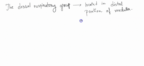 the-dorsal-respiratory-group-in-the-medulla-oblongata-is-involved-with-multiple-choice-breathing-rhythm-both-inspiration-and-expiration-are-correct-explration-inspiratlon-49785