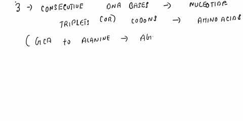 the-amino-acids-coded-by-specific-codons-88047