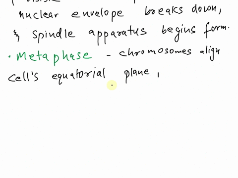 what-are-the-five-stages-of-cell-division-45218