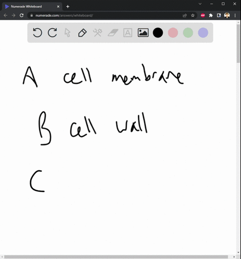 ha-animalvs-plant-cell-1-plant-cell-2-animal-cell-82845