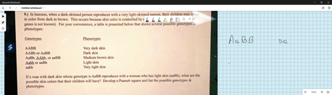9-in-humans-when-dark-skinned-person-reproduces-with-very-light-skinned-person-their-children-may-range-in-color-from-dark-t0-brown-this-occurs-because-skin-color-is-controlled-by-more-than-33035