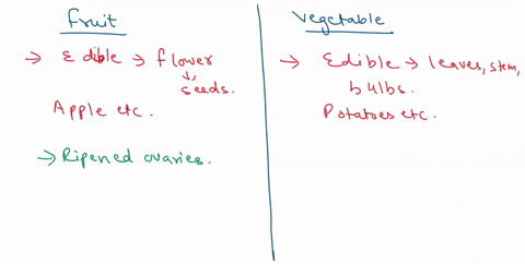 2-indicate-the-features-by-which-dicots-are-distinguished-from-monocots-3-what-is-the-difference-between-a-fruit-and-a-vegetable-4-what-causes-an-ovary-to-develop-into-a-fruit-5-what-are-the-55903