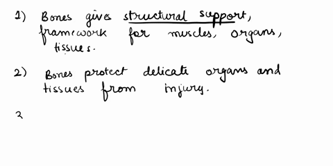 list-the-five-functions-of-bone-86108