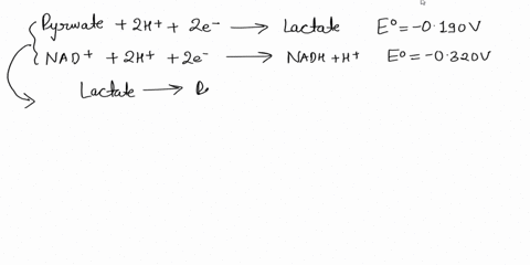 414-pta-the-two-half-reactiona-for-the-reduction-of-pyruvate-and-nad-are-written-below-pyruvate-2h-2e-_-lactate-nad-2h-2e-7nadh-h-eo-0190-v-eo-0320-v-a-mixture-of-pyruvate-lactate-nad-and-na-22496