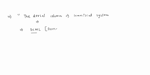 q61-multiple-answer-the-dorsal-column-medial-lemniscal-system-conveys-information-about-which-of-the-following-stimuli-select-all-that-apply-please-note-that-negative-marking-is-enabled-for-98874