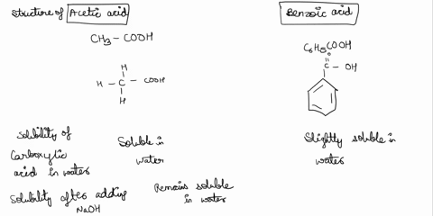 lab-worksheet-carboxylic-acids-esters-and-amines-carboxylic_-acids-and-jheil-salts-record-your-data-on-the-following-table-acetic-acid-benzelc-acid-structure-solubility-of-the-carboxylic-aci-40748