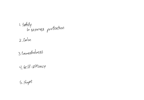 explain-the-use-of-promoting-safety-calm-connectedness-self-efficiency-and-hope