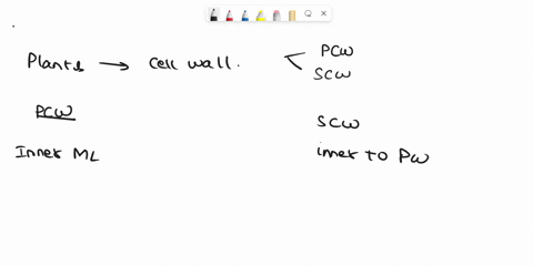 what-is-a-difference-between-a-primary-and-a-secondary-cell-wall-in-plants-choose-one-a-primary-cell-walls-provide-a-waxy-waterproofing-layer-to-plant-tissues-b-secondary-cell-walls-are-ofte-81188