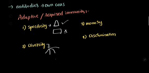 what-would-cause-antibodies-to-attack-the-cells-of-the-body-74286