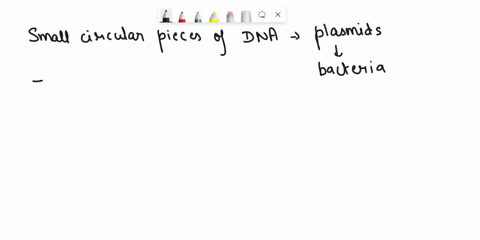 are-small-circular-pieces-of-dna-found-in-bacteria-35597