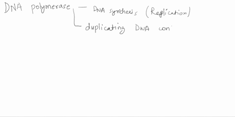 what-is-a-dna-polymerase-what-does-it-do-or-what-is-it-involved-in-67962