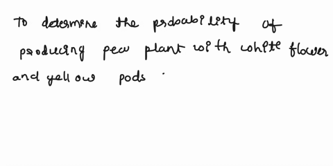 purple-flowers-are-dominant-over-white-flowers-and-green-pods-are-dominant-over-yellow-pods-in-pea-plants-what-would-the-probability-be-of-producing-a-pea-plant-with-white-flowers-and-yellow-75527