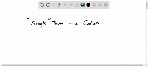 in-a-single-turn-of-the-calvin-cycle-how-many-co2-molecules-are-brought-in-question-5-options-1-2-3-6-80545