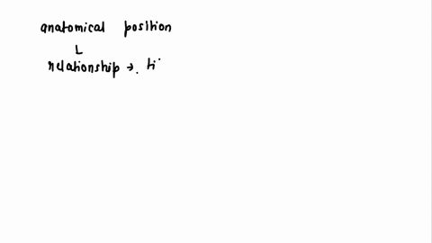in-anatomical-position-what-is-the-relationship-of-tibia-to-fibula-16022