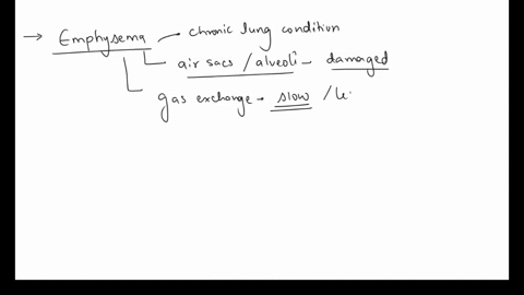 in-patients-with-emphysema-what-is-the-main-stimulus-of-respiratory-regulation-48602