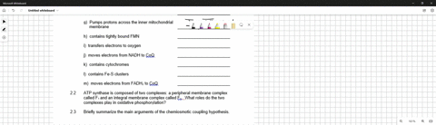 the-lectron-transport-chain-is-composed-of-four-complexes-for-the-statements-below-indicate-which-complex-or-complexes-fits-the-description-the-complexes-are-complex-nadh-cqq-oxidoreductase-64527