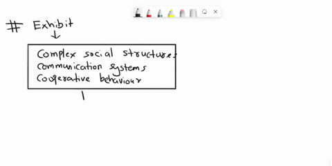 which-groups-of-animals-participate-in-adaptive-social-behavior-20258