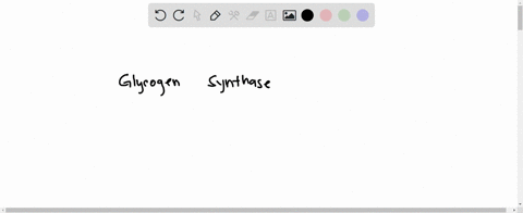 104_-which-of-the-following-enzymes-is-activated-by-dephosphorylation-a-glucose-6-phosphatase-udp-glucose-pyrophosphorylase-glycogen-phosphorylase-glycogen-synthase-e-phosphoglucomutase-41077
