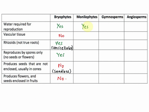 bryophytes-monilophytes-gymnosperms-angiosperms-water-required-for-reproduction_-vascular-tissue-rhizoids-not-true-roots-reproduces-by-spores-only-no-seeds-or-flowers-produces-seeds-that-are-74465